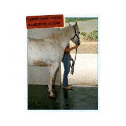 Tapis Spécial Etable