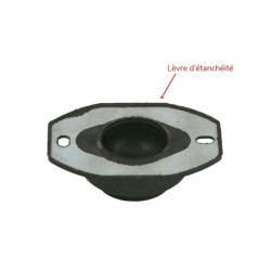 Supports Paulstradyn