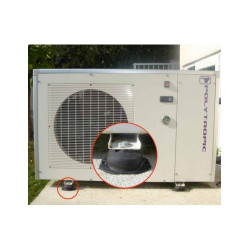 Supports Paulstradyn